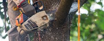 Best Lawn Pest Prevention  in Lake Hamilton, FL